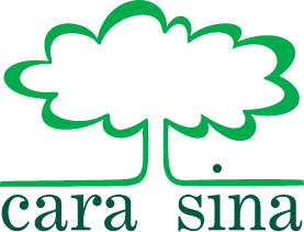 Cara Sina